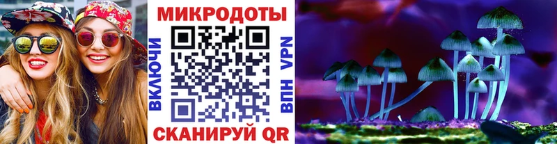 Галлюциногенные грибы мухоморы  Томилино 